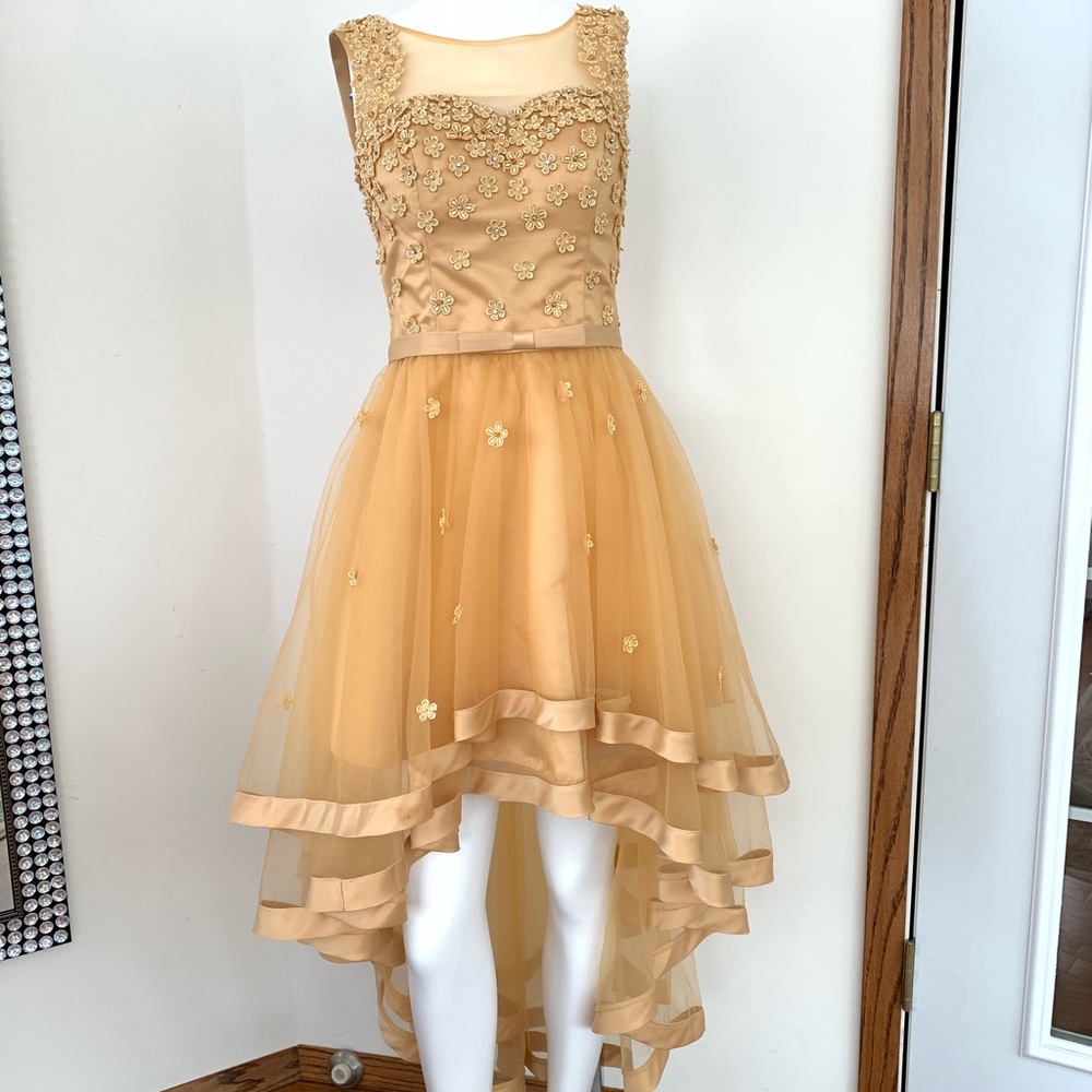 Sonrisa prom dress